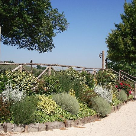 Tenuta Colverano Montefalco Ngoại thất bức ảnh
