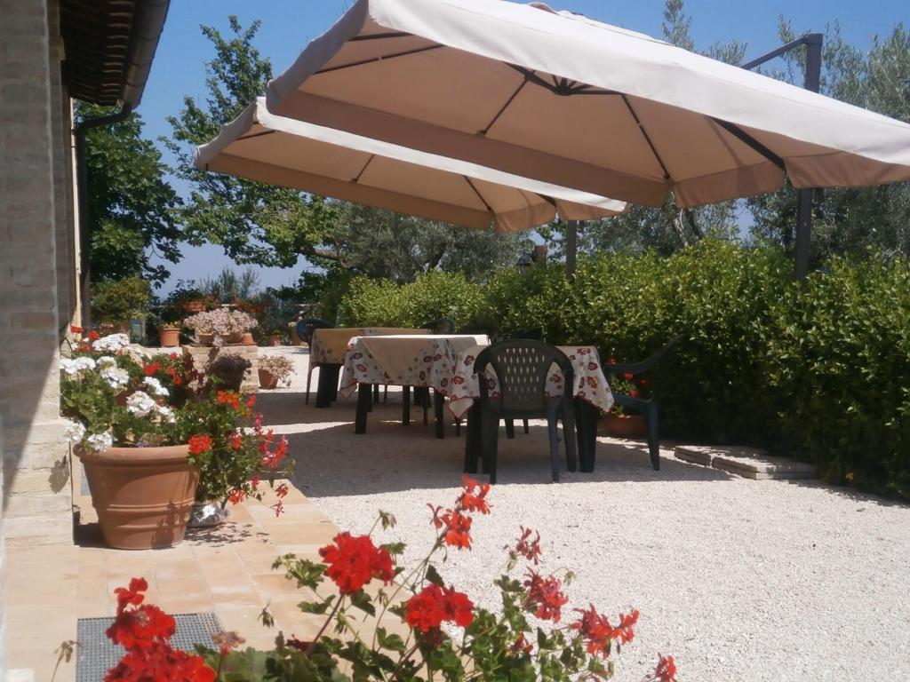 Tenuta Colverano Montefalco Ngoại thất bức ảnh