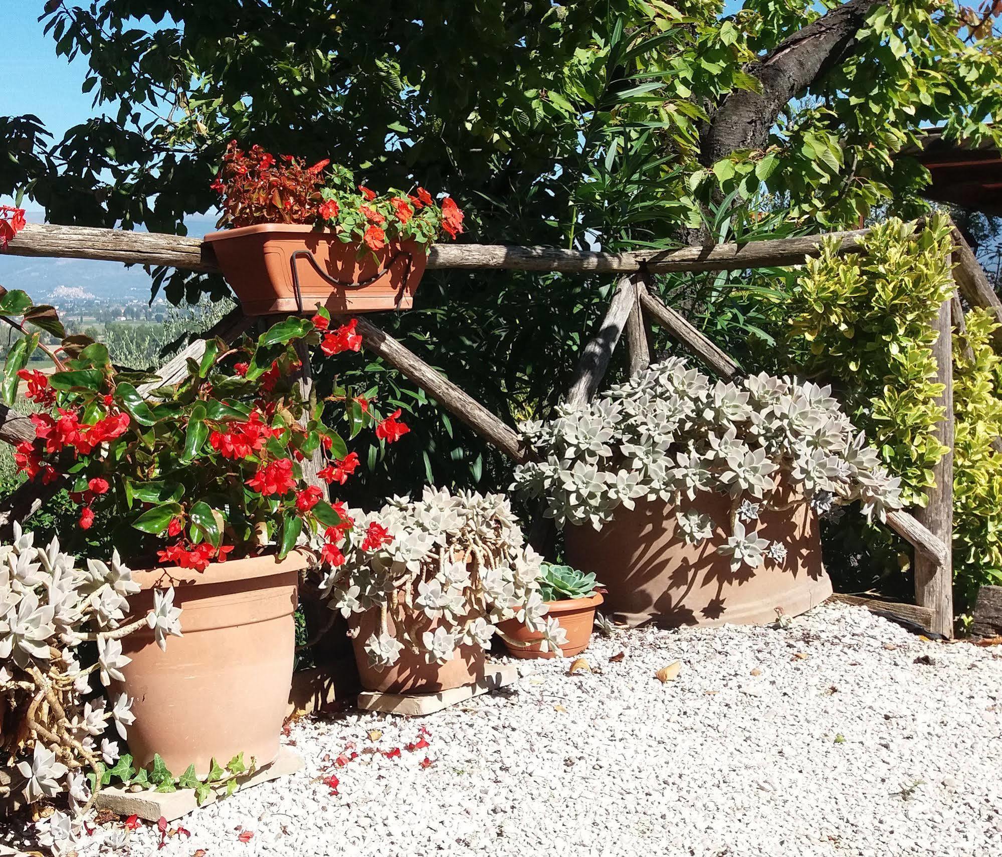 Tenuta Colverano Montefalco Ngoại thất bức ảnh
