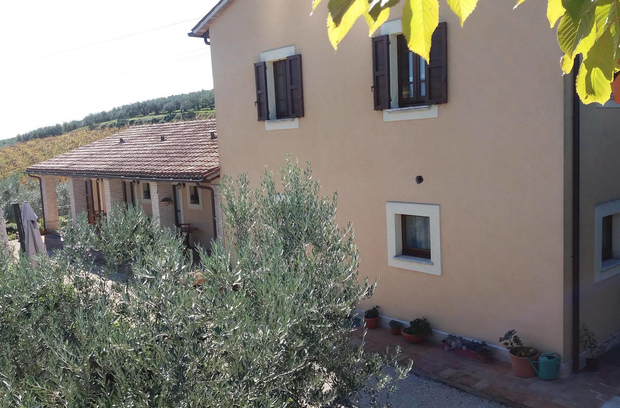 Tenuta Colverano Montefalco Ngoại thất bức ảnh