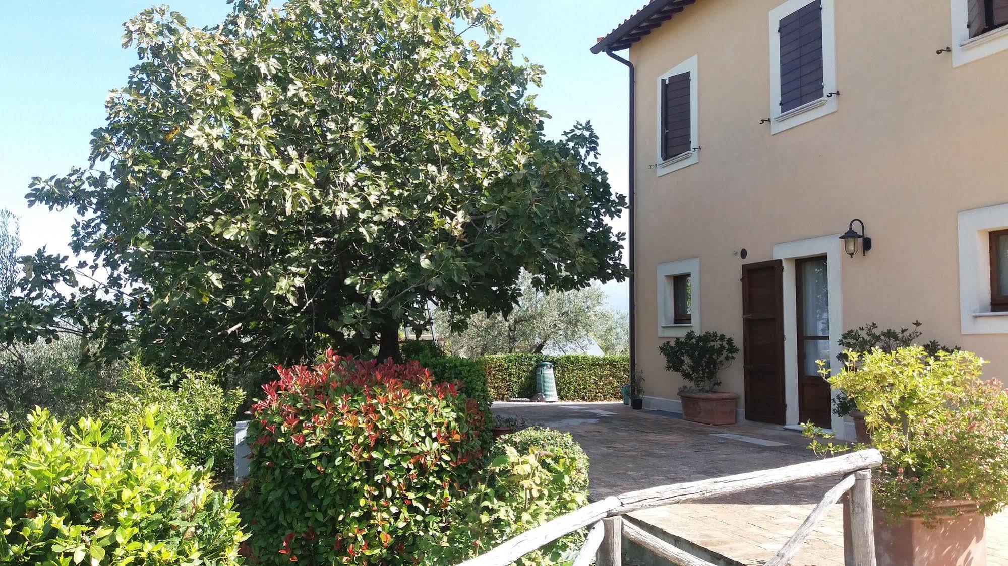 Tenuta Colverano Montefalco Ngoại thất bức ảnh