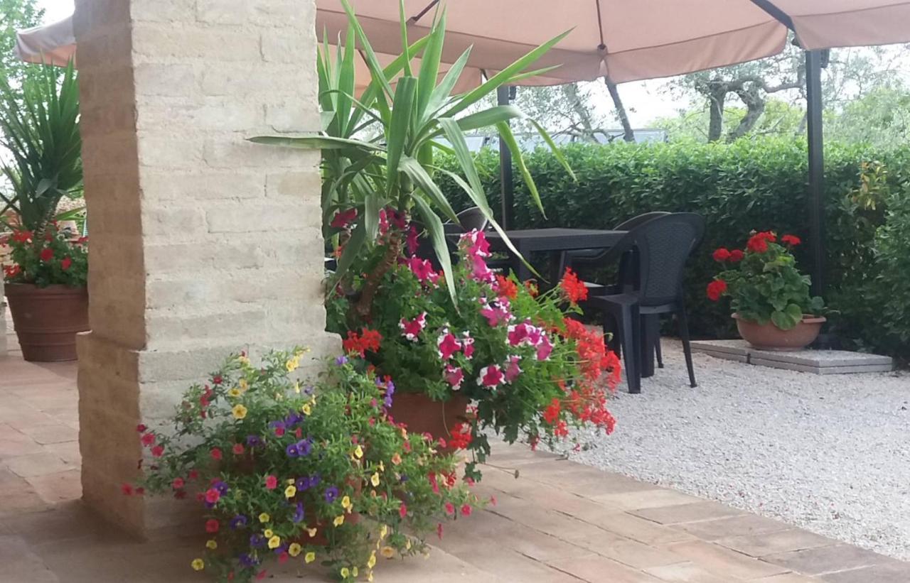 Tenuta Colverano Montefalco Ngoại thất bức ảnh